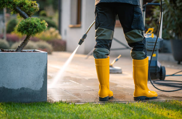 Best Affordable Pressure Washing  in Willowbrook, CA